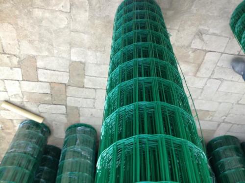 黑龍江使用荷蘭網(wǎng)的好處？